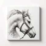 Monochrome Sketch Horse Head Canvas Wall Art